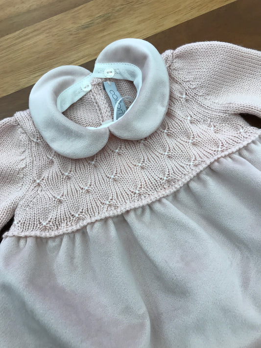 Pagliaccetto colibrì