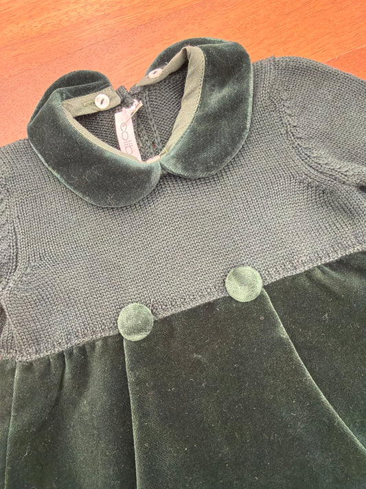 Pagliaccetto colibrì