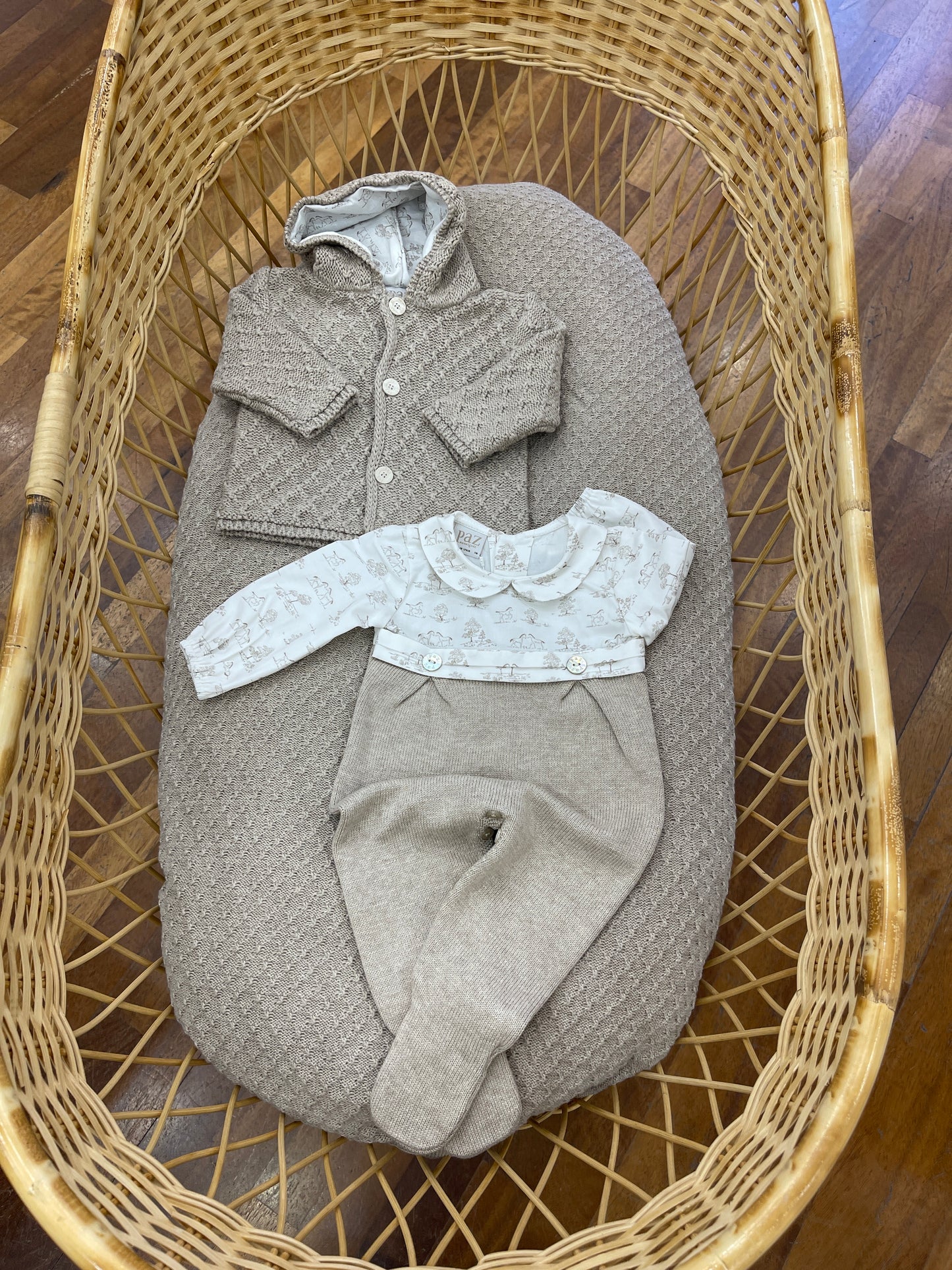 Coordinato paz rodriguez