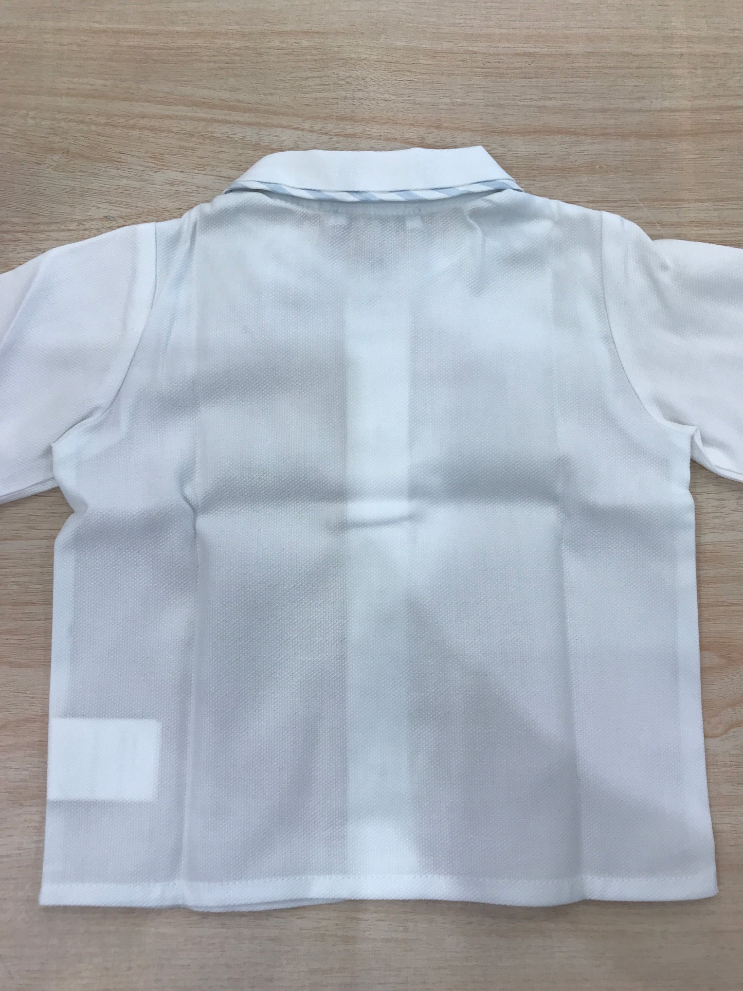 Camicia Colibrì in cotone manica lunga con colletto tondo rifinito celeste
