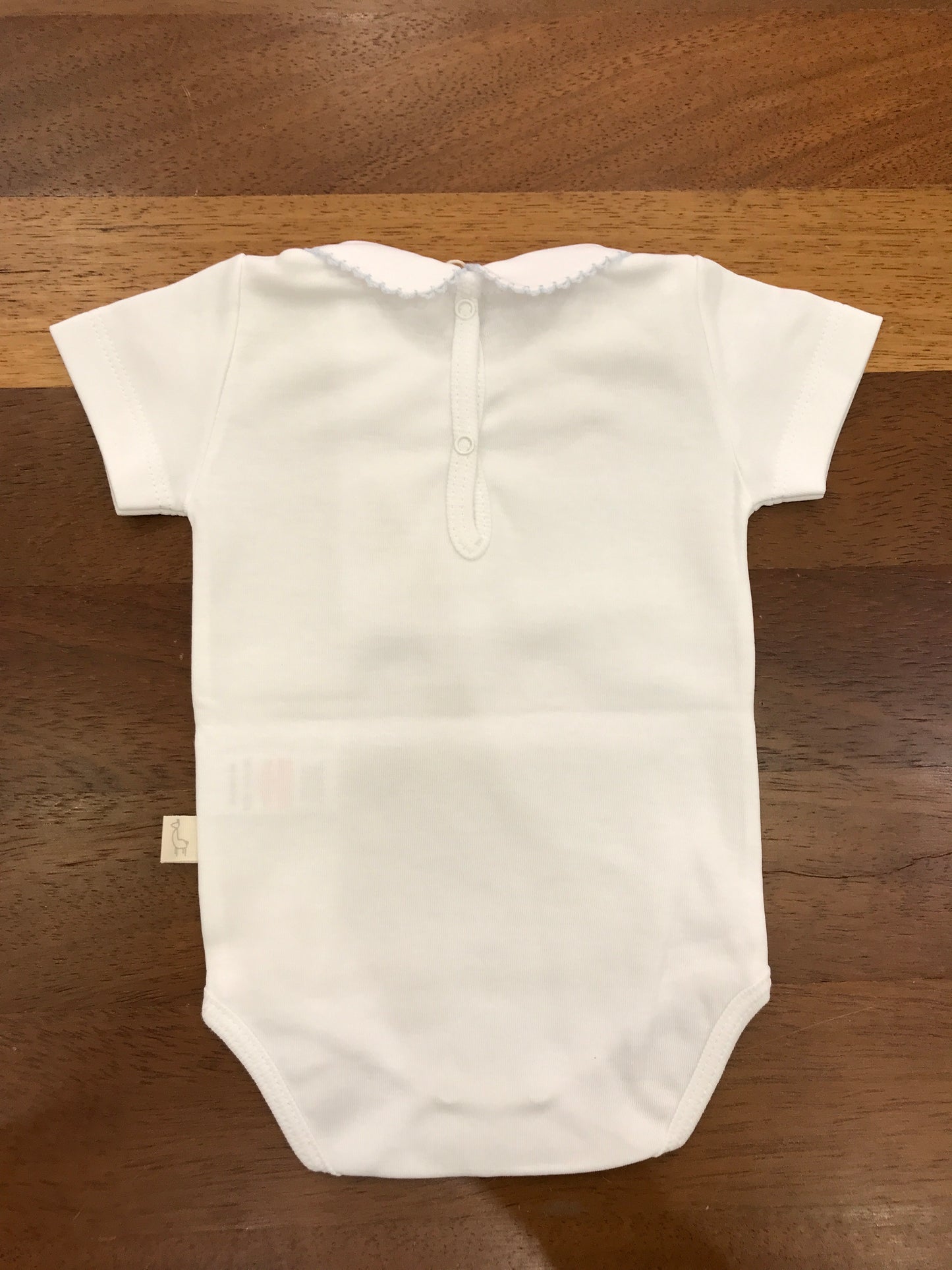 Body Baby Gi in cotone mezza manica con collo tondo rifinito in celeste