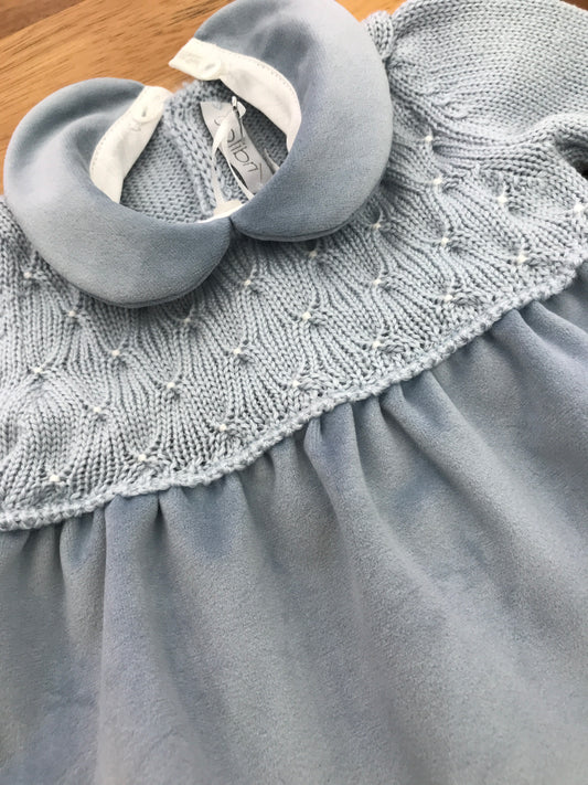 Pagliaccetto colibrì