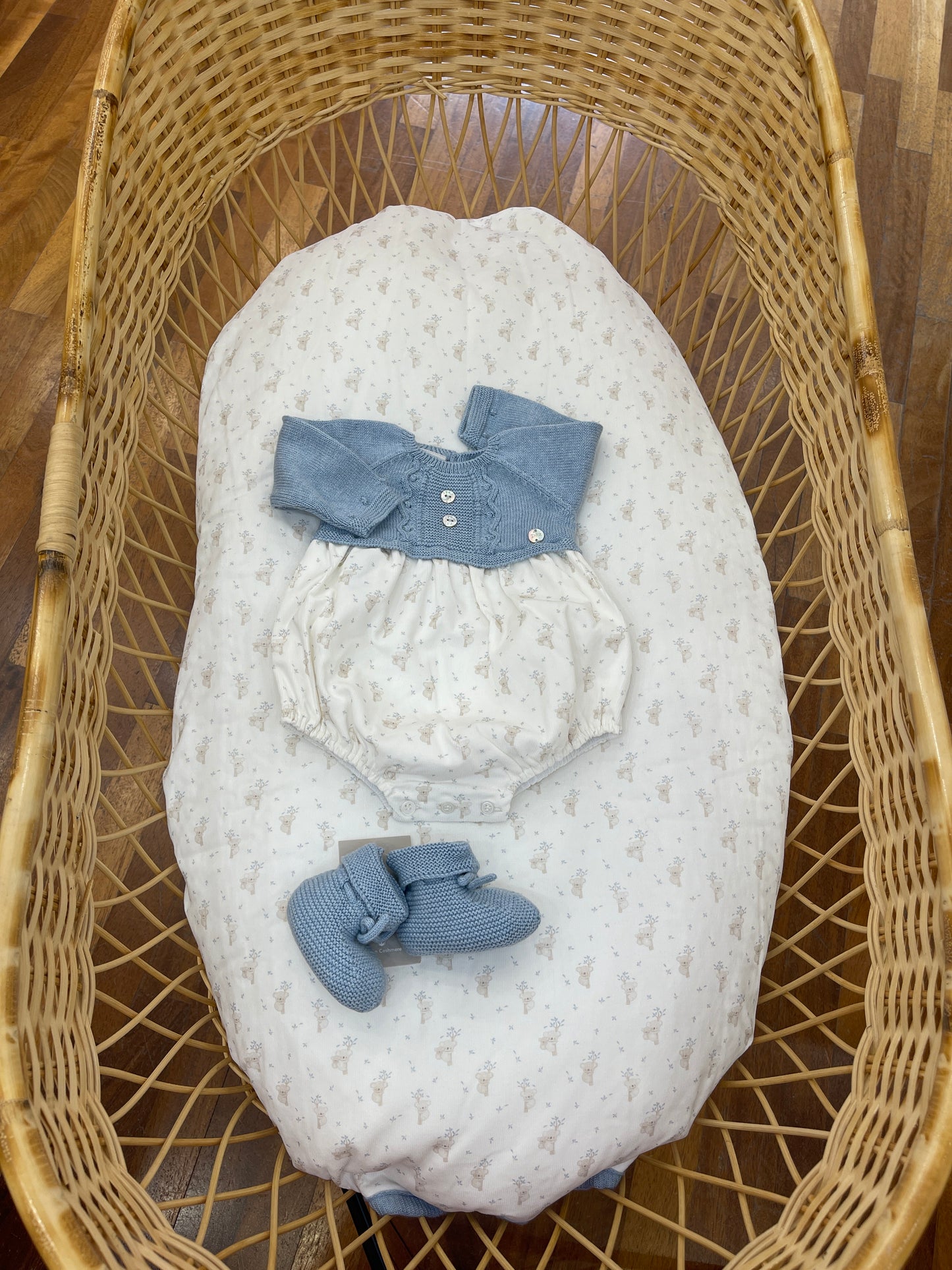 Coordinato Paz Rodriguez