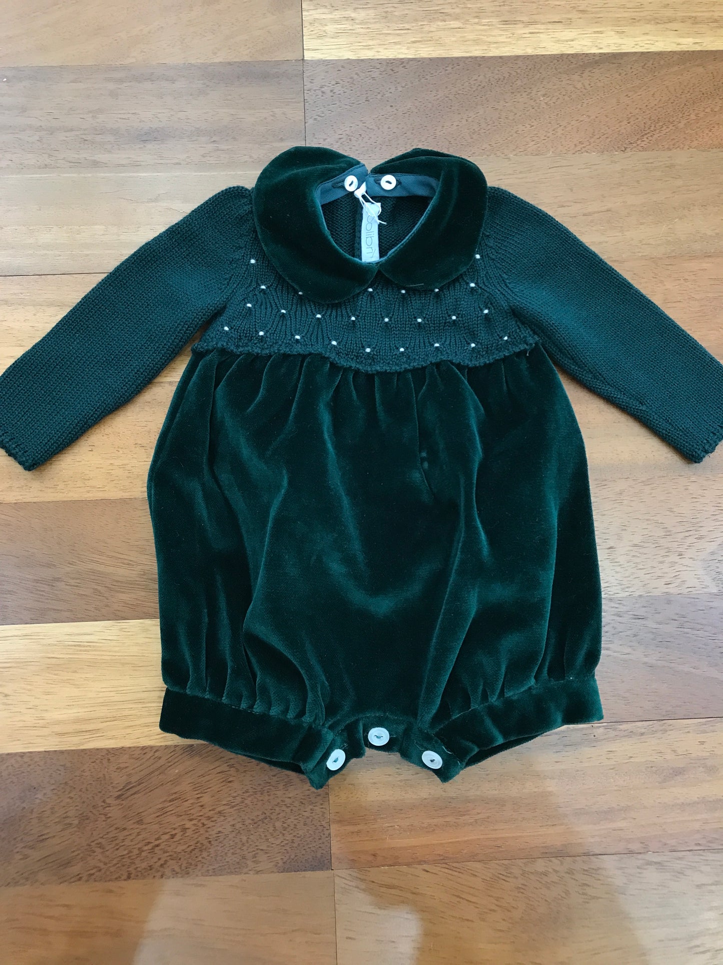 Pagliaccetto colibrì