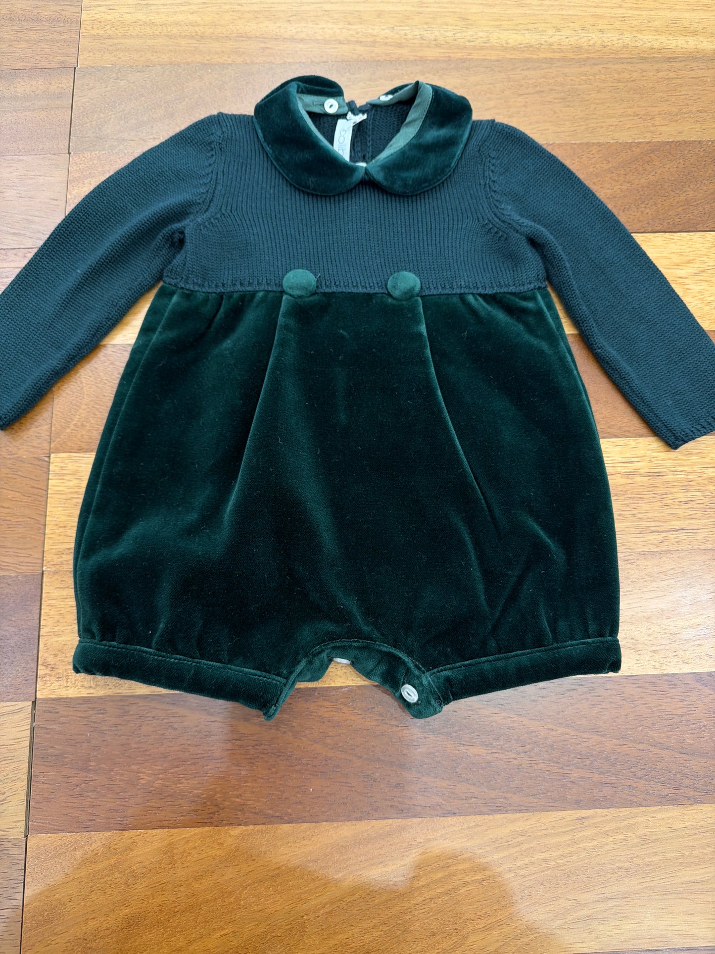 Pagliaccetto colibrì